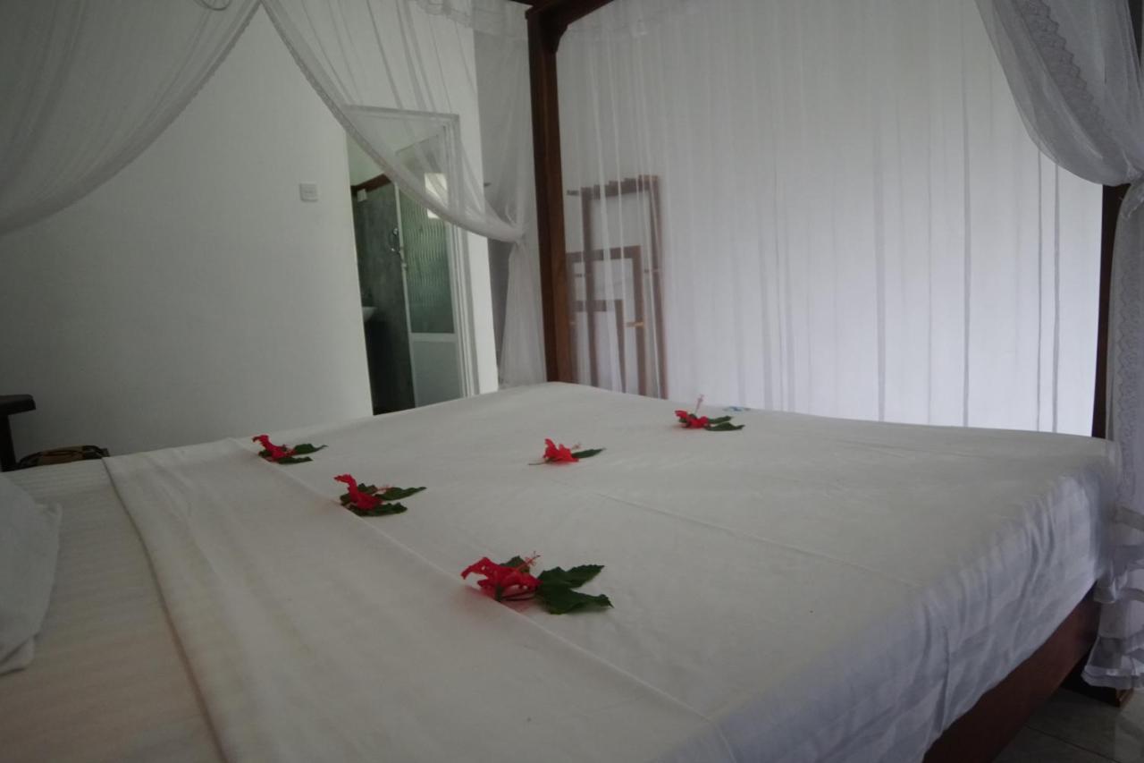 Turtle Bay Beach Resort ميريسا المظهر الخارجي الصورة