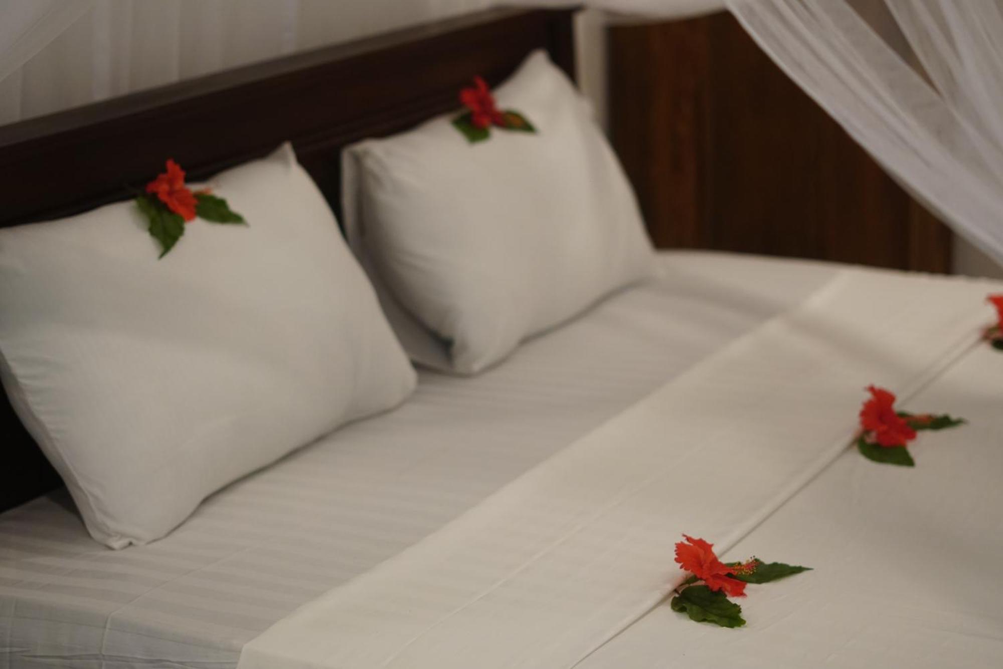 Turtle Bay Beach Resort ميريسا المظهر الخارجي الصورة