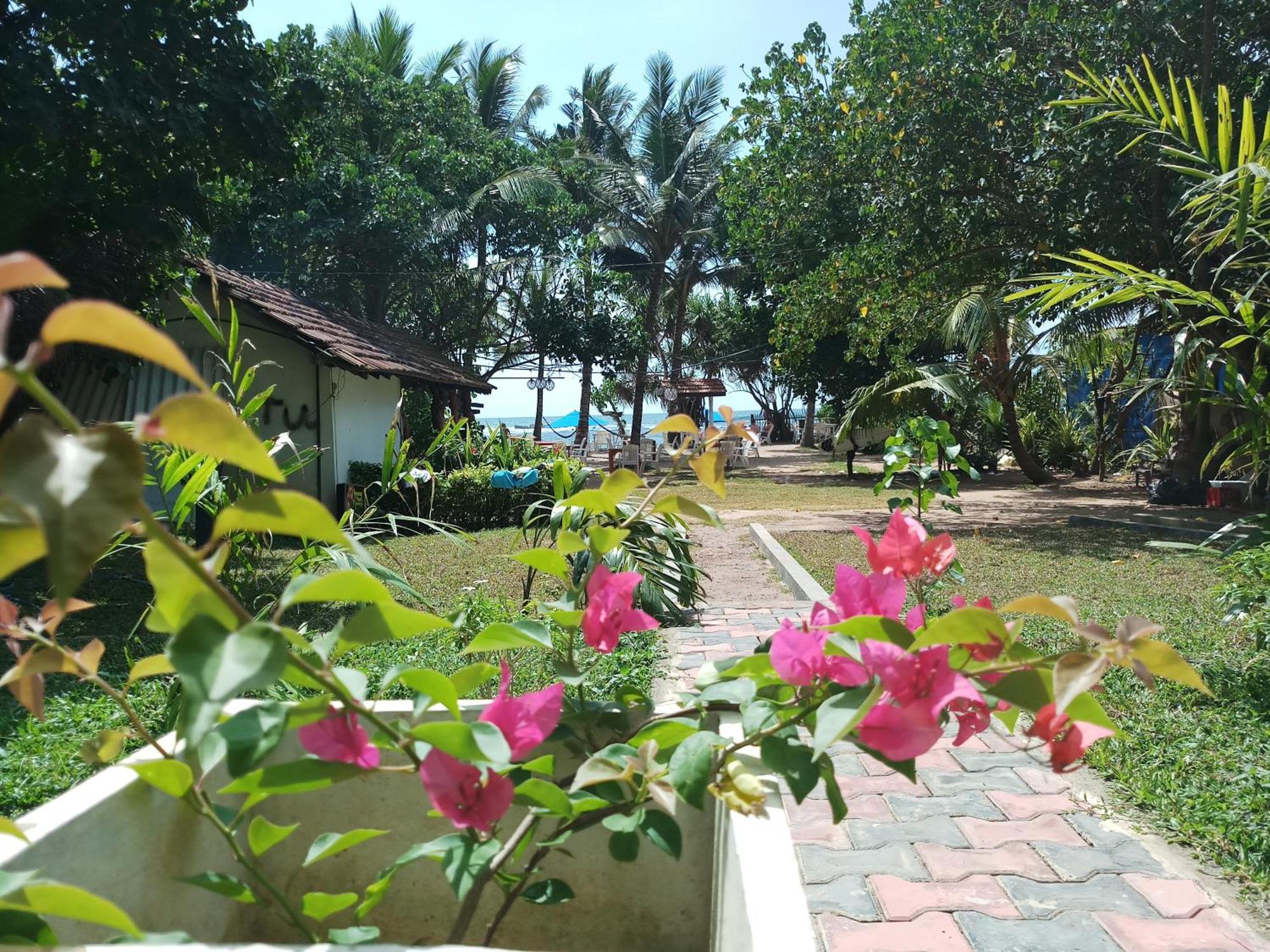 Turtle Bay Beach Resort ميريسا المظهر الخارجي الصورة
